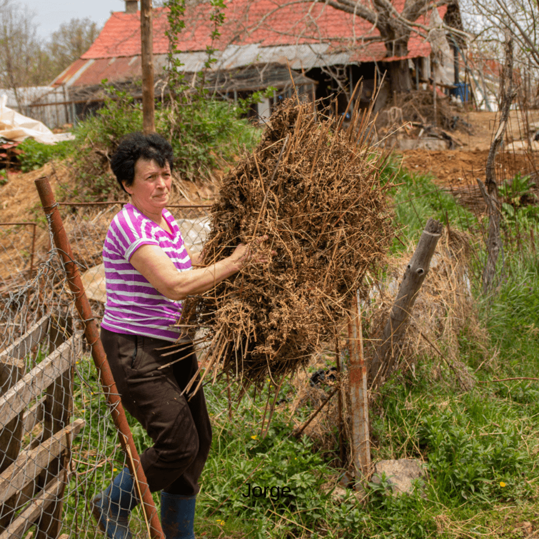 Le travail à la ferme 