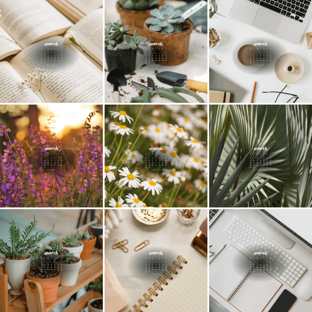 December 2025 wallpapers on laptop and phone, minimal calendar layout