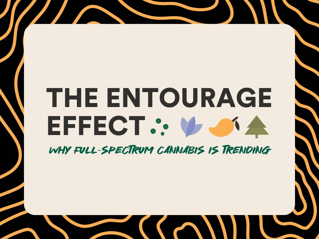 Title text reading "The Entourage Effect" with subtext reading "why full spectrum cannabis is trending"