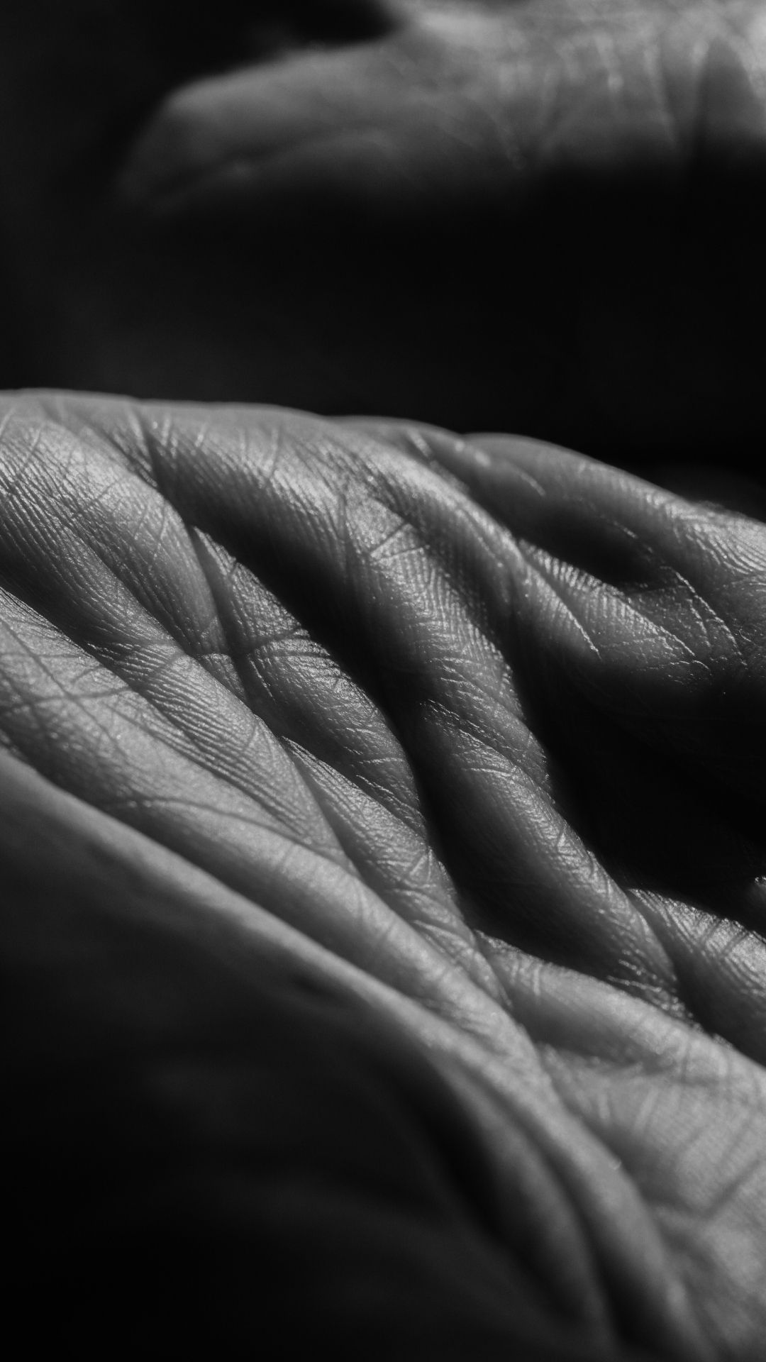 Woman showing her face in the sun