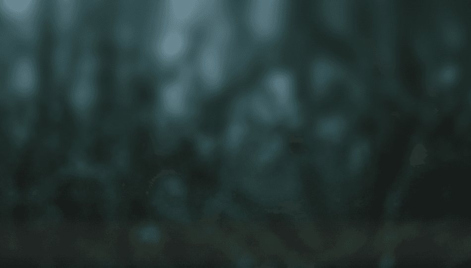 image of a jungle with a high blur effect