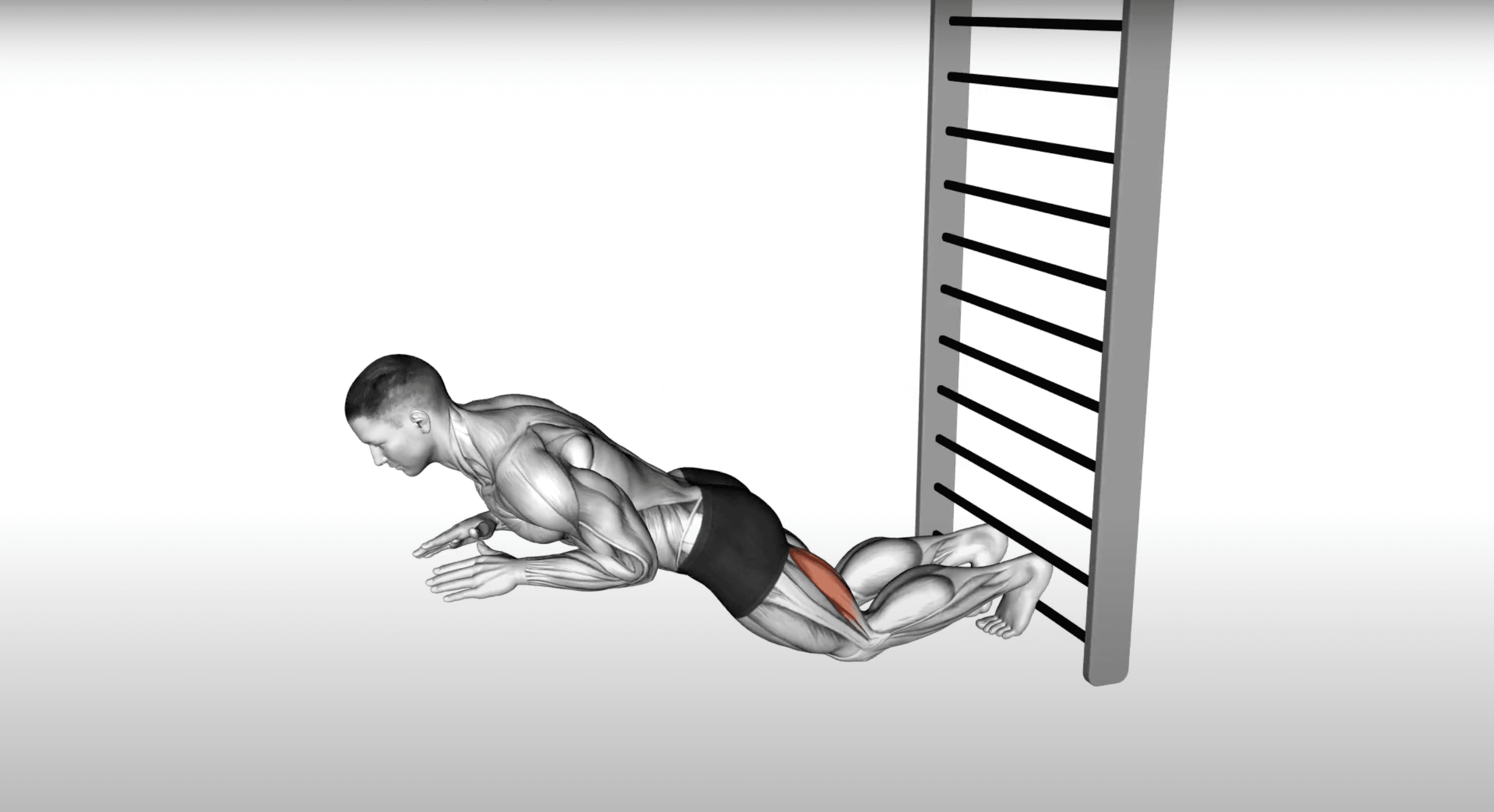 Nordic Hamstring Curl Being Performed