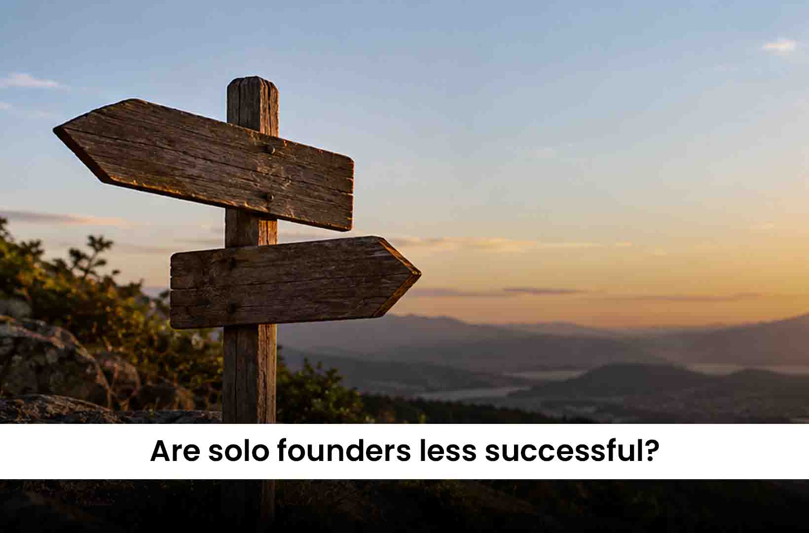  Solo founder survival data showing 2.6x higher chance of an ongoing venture and 55% lower dissolution rate