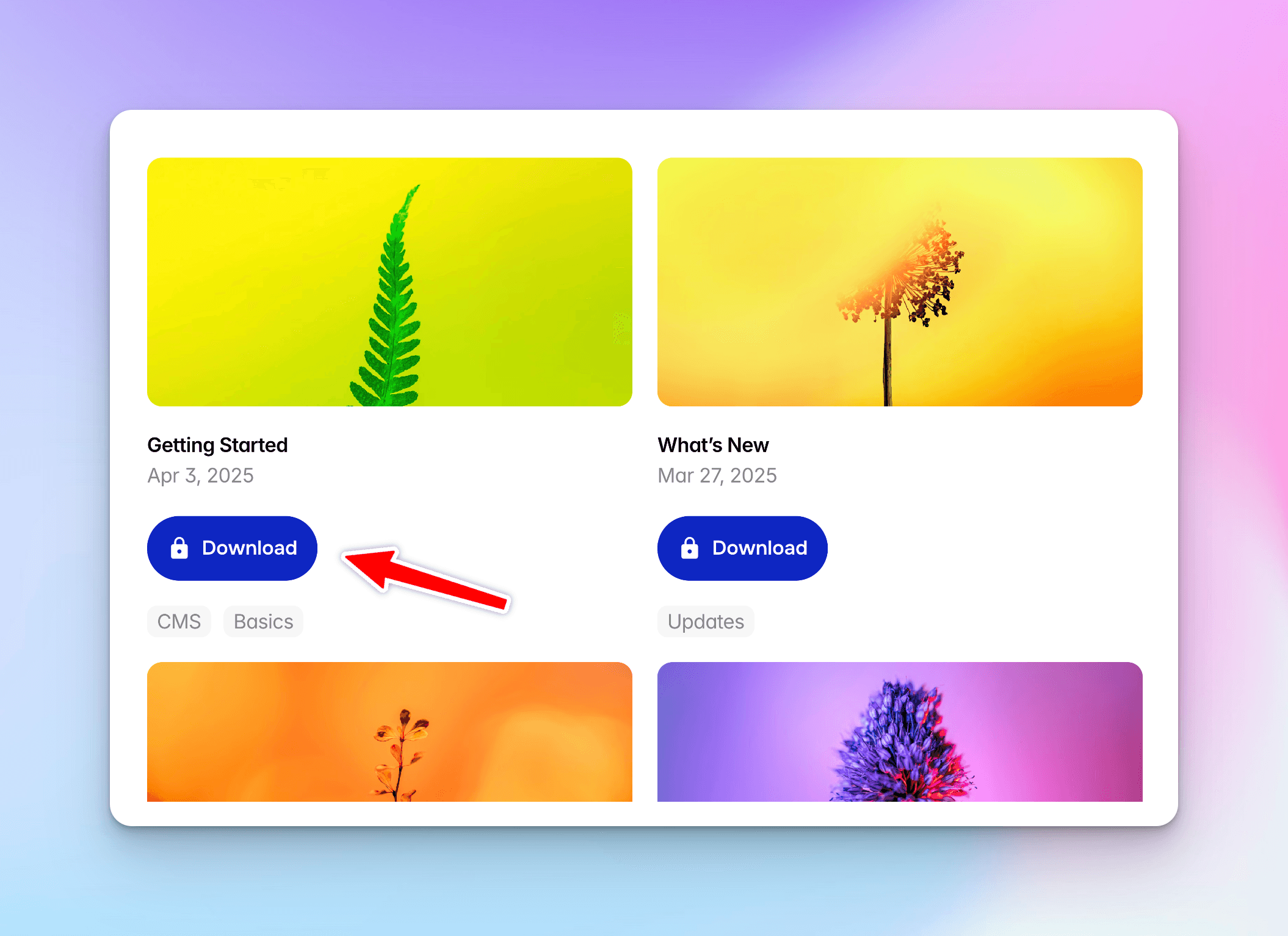Locked variant with FramerAuth