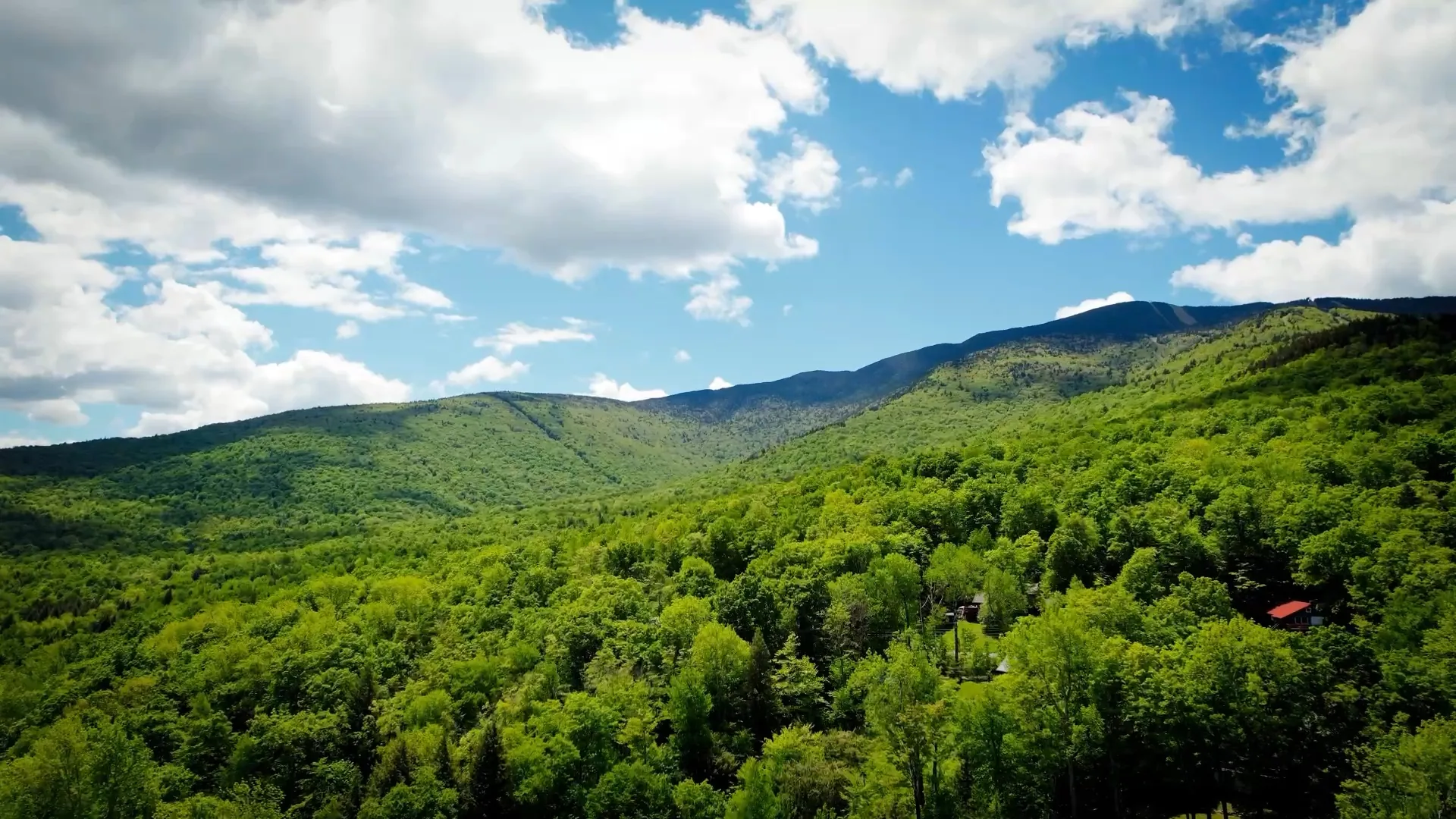 Aerial view across the forest toward the Mad River Valley mountains