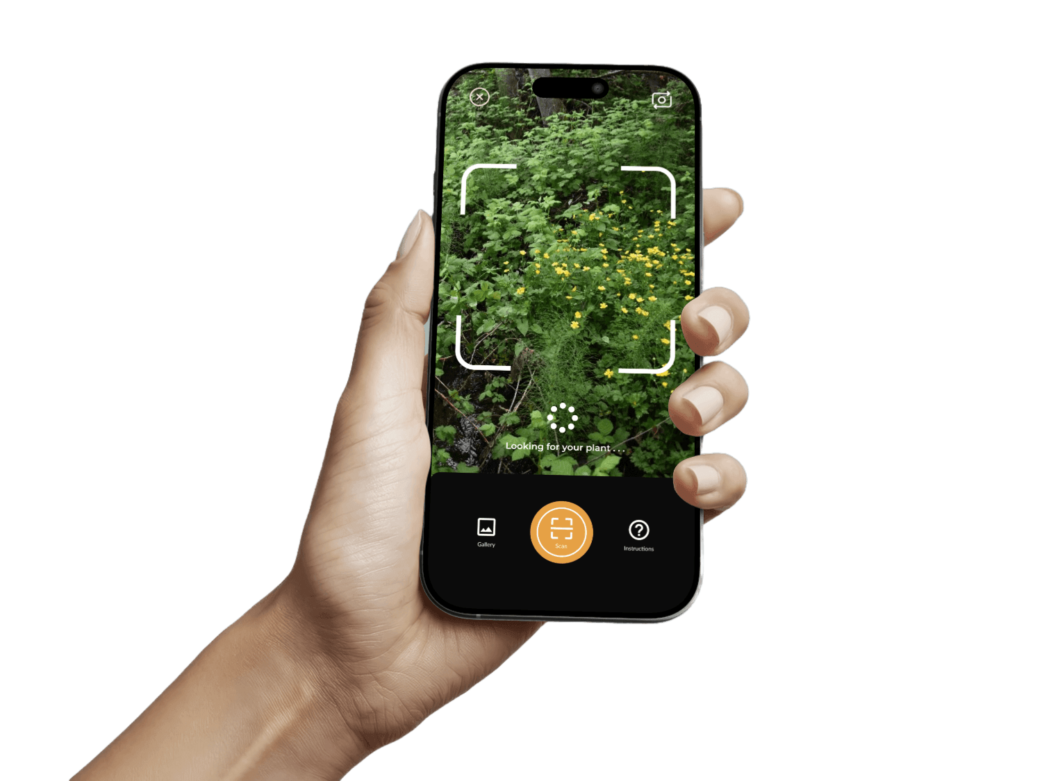 Plant ID on a cell phone