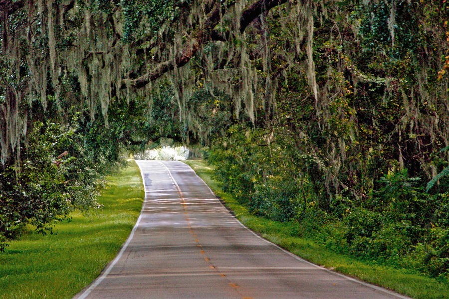 Premier Appraisal Services of Tallahassee