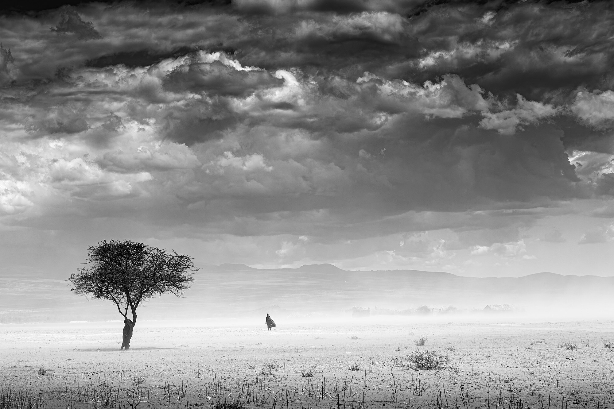 Shelter Beneath the Sky: A Tree’s Silent Gift in Kenya