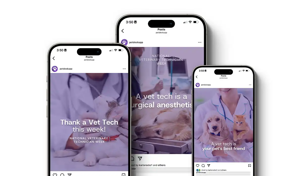 Veterinary Technician Week Social Graphics||Veterinary Technician Week Handouts and Activities|Veterinary Technician Appreciation Cards|Veterinary Technician Week Items