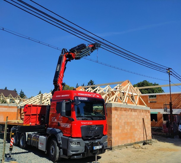 a tree with many leaves