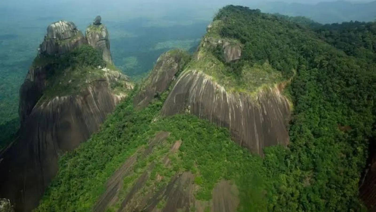 Suriname Tourism