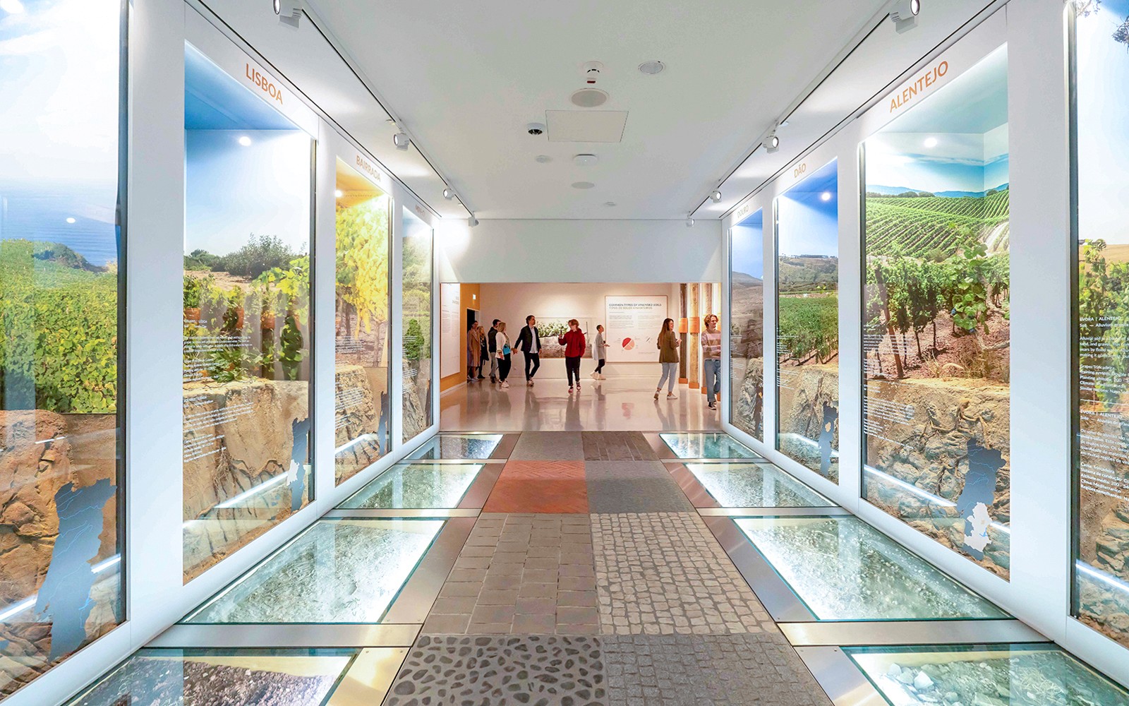 Látogatók sétálnak keresztül a The Wine Experience borbemutató folyosóján, ahol szőlőültetvények kiállításait tekinthetik meg.