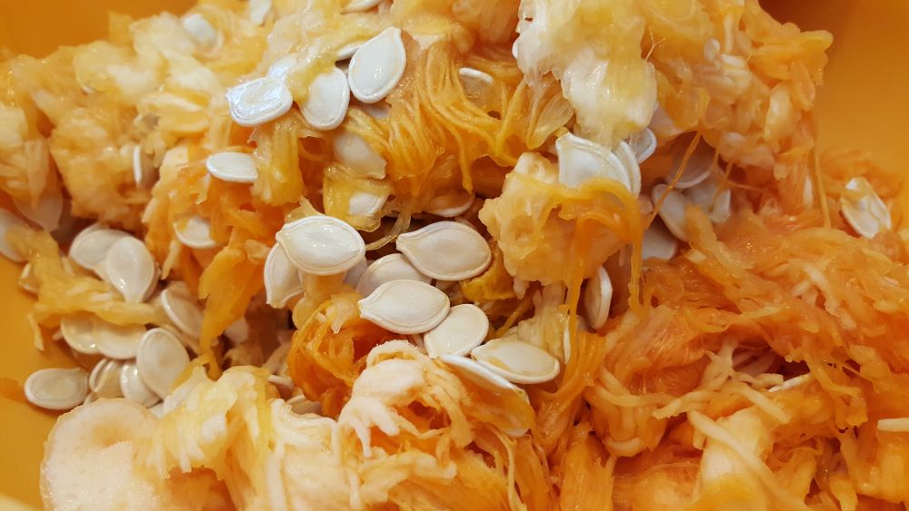 Semi di zucca