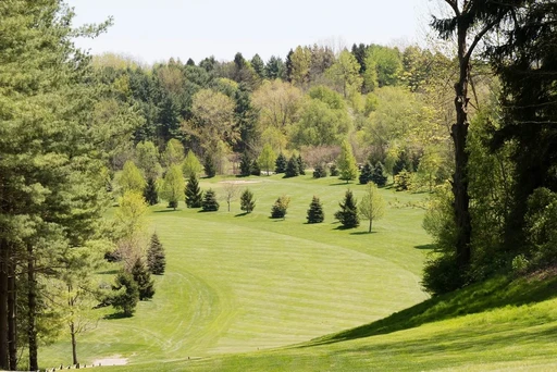 Country Property Images