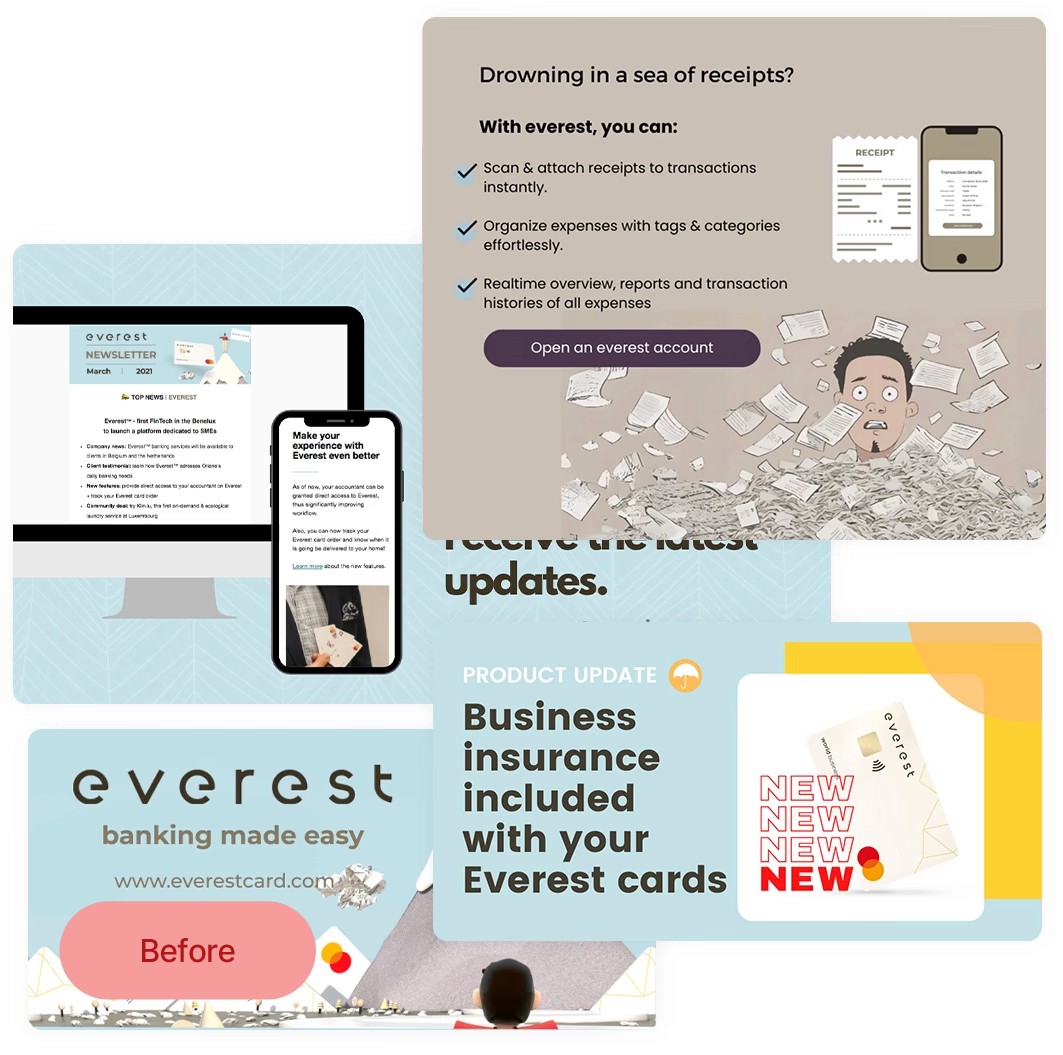 Old everestcard website design example 1