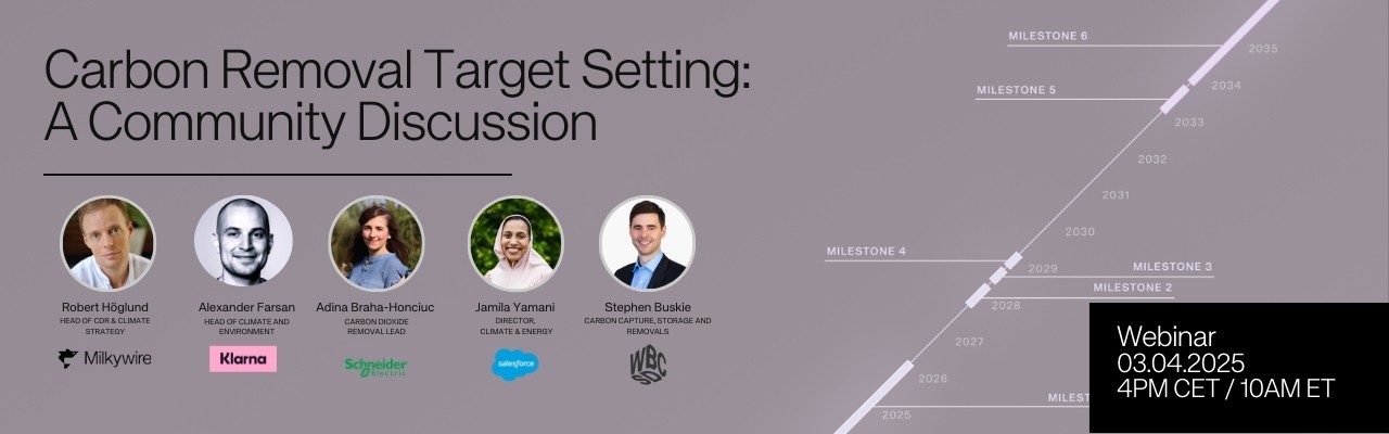 Corporate carbon removal targets in practice image