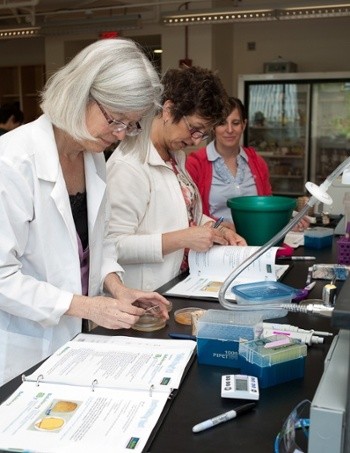 BioBuilder
