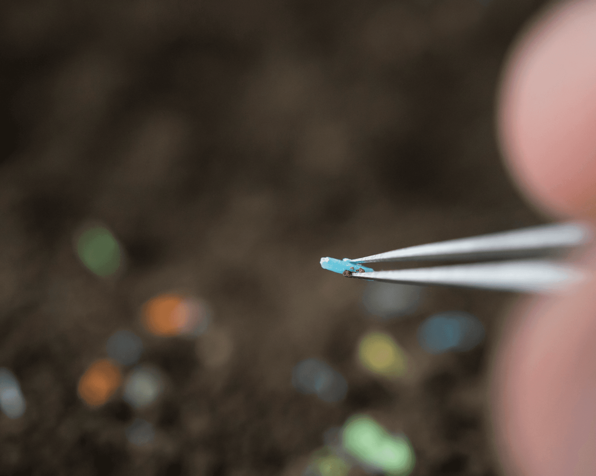 Short Bowel Syndrome - Veterinary Clinics: Small Animal Practice