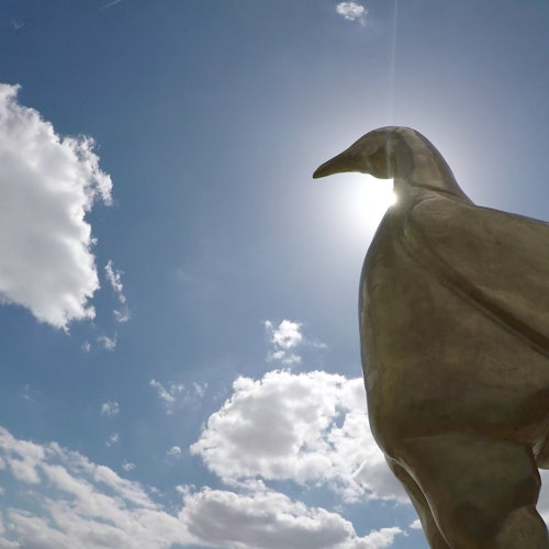 Emblemático Gallo de Espuelas Doradas en el Dare Skywalk