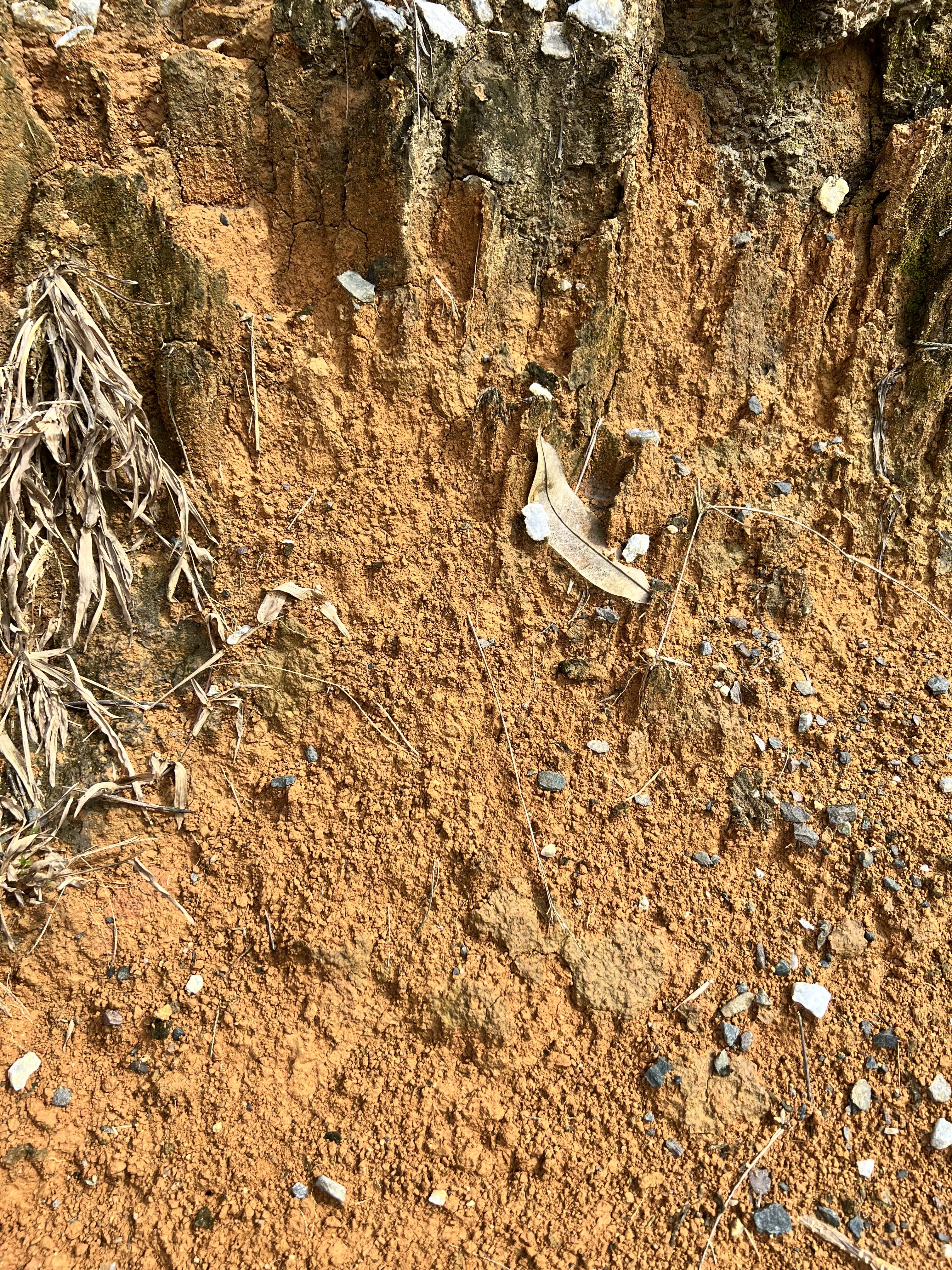 Soil aggregate held for close field interpretation