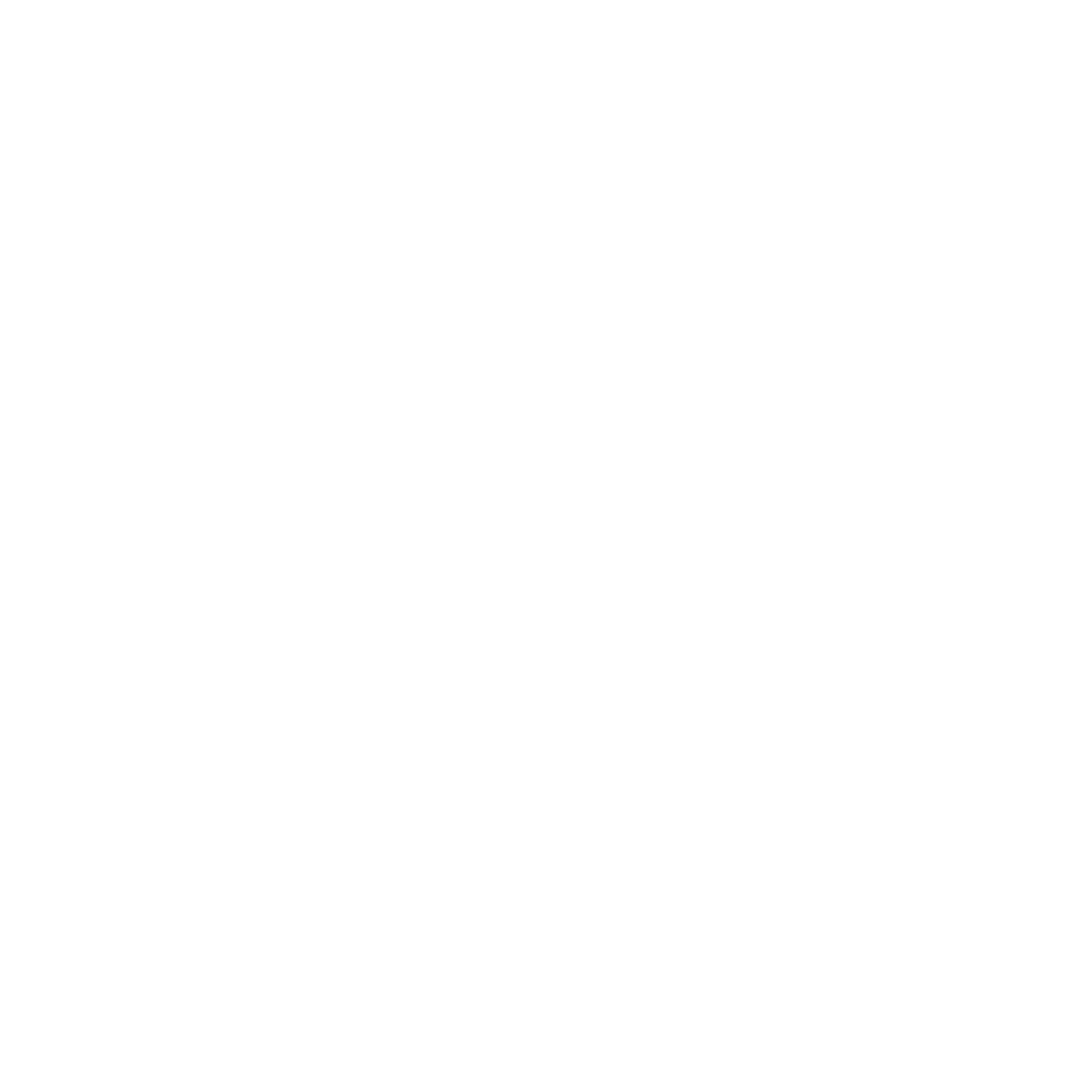 Raised Media Hero Logo - Video production agency for brands NYC