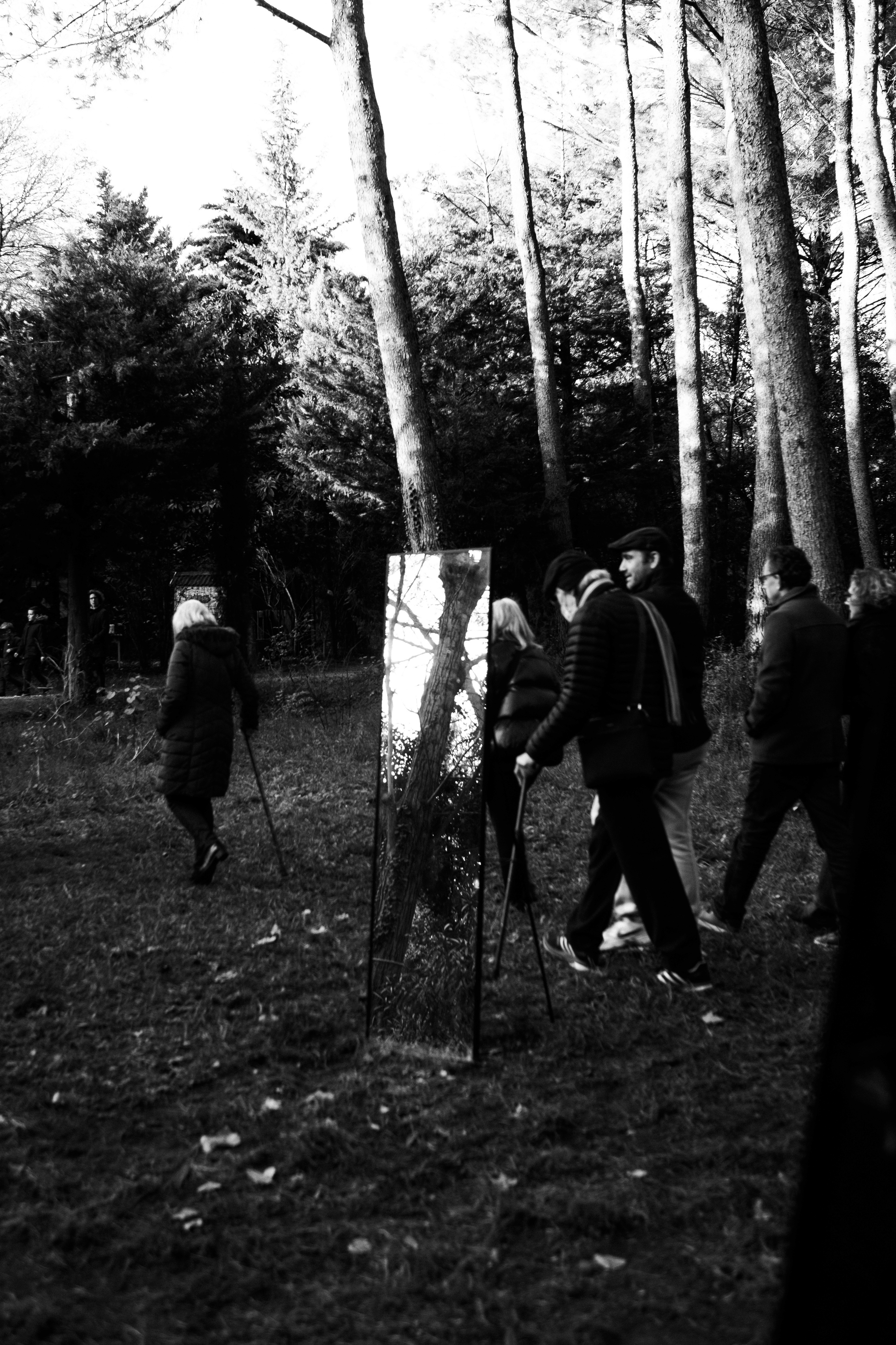 People walking together in a woodland