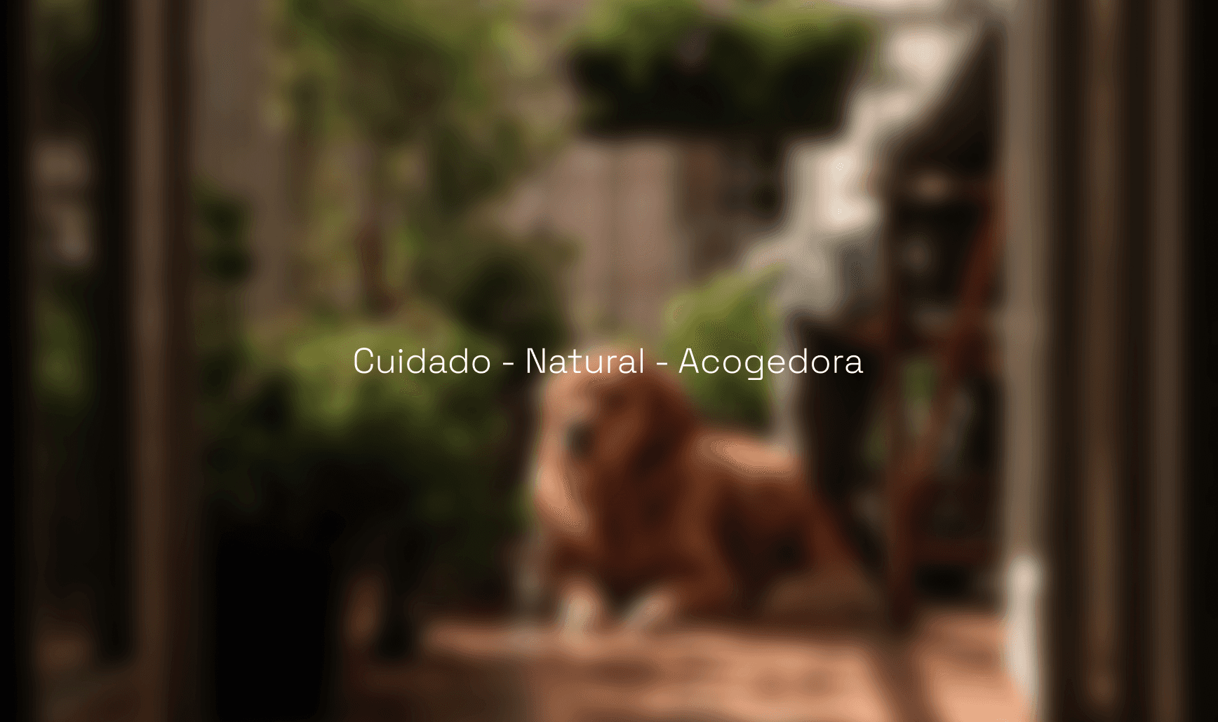 Diapositiva con valores de la marca de Antonio Martin Algeciras.