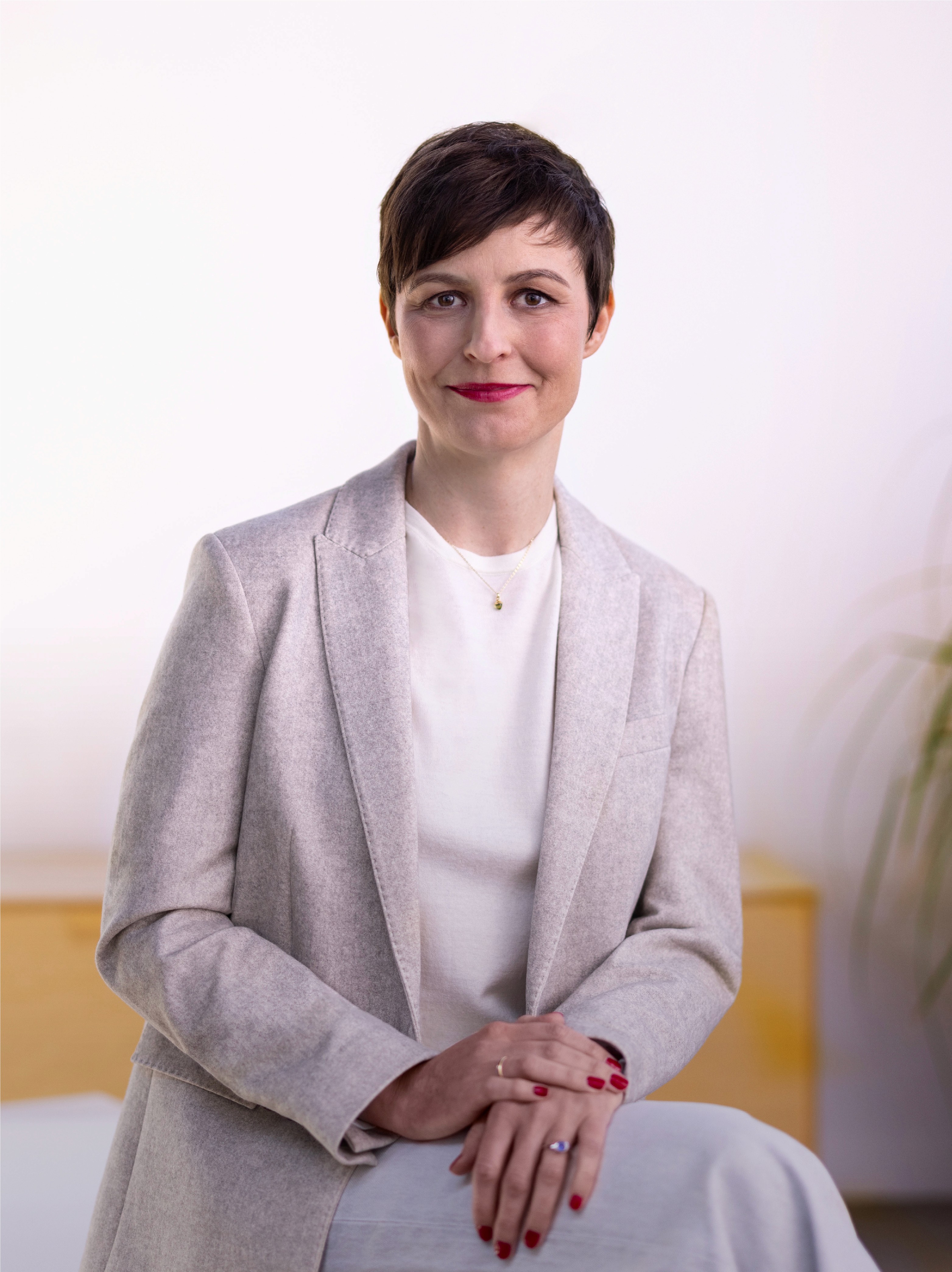 Dom Pérignon vineyards from the sky