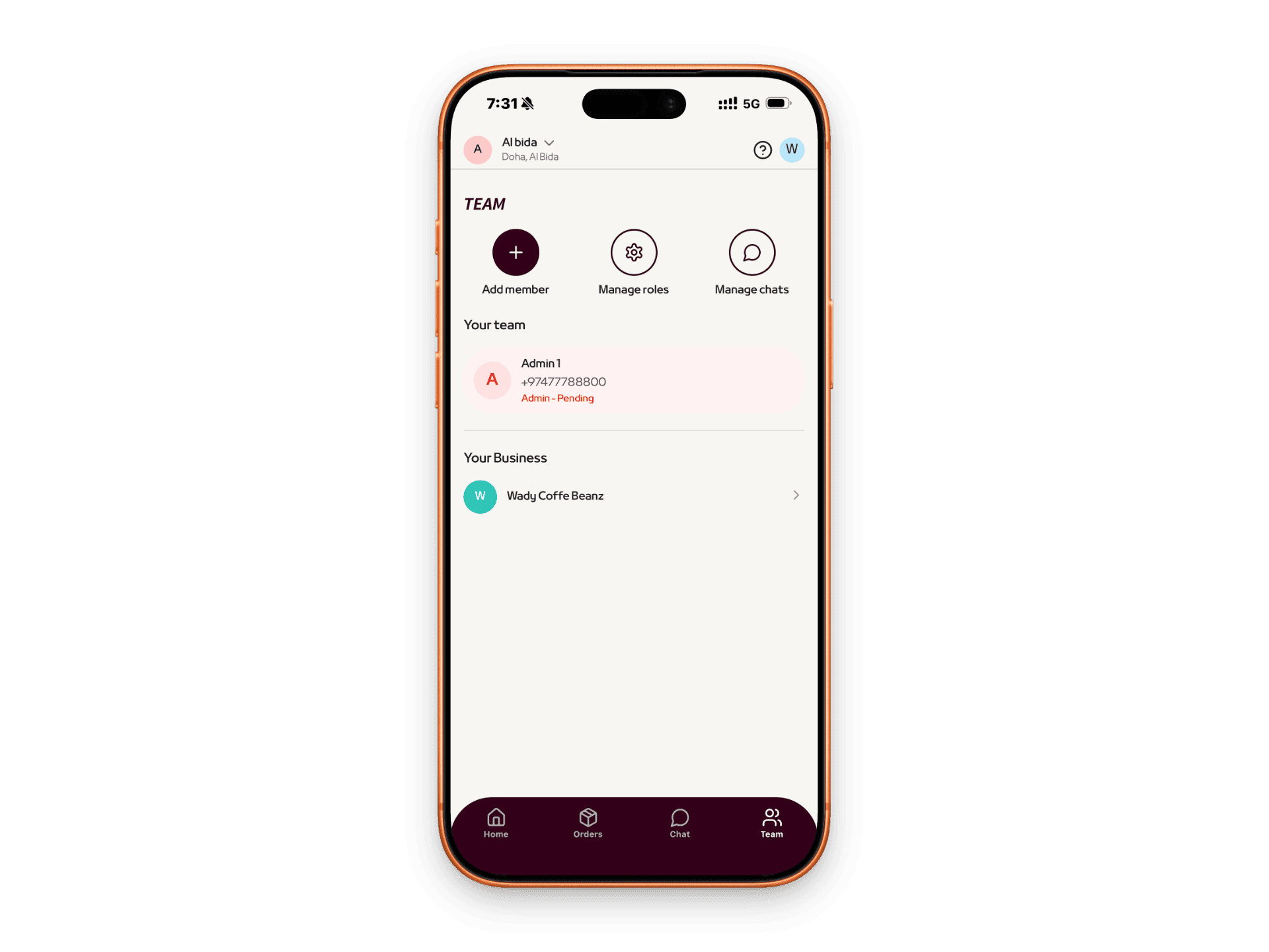 Mobile app preview