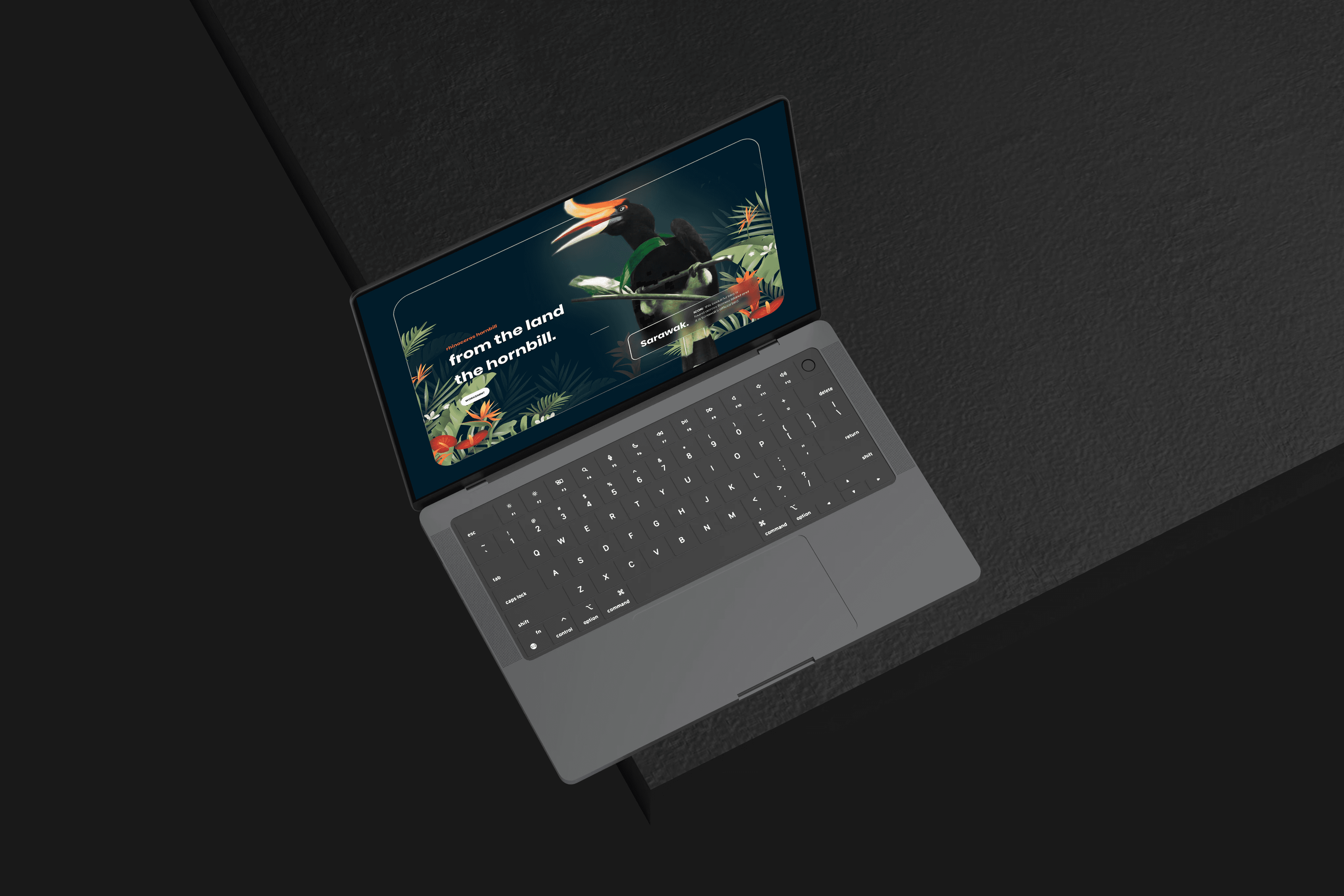 sarawak website UIUX