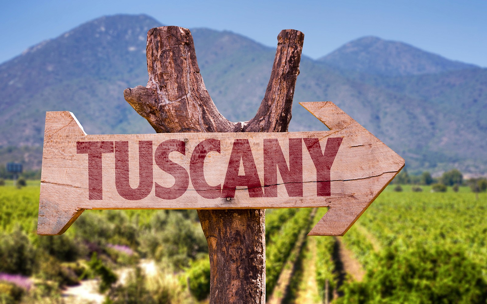 托斯卡纳的标志，背景是葡萄园和山脉。