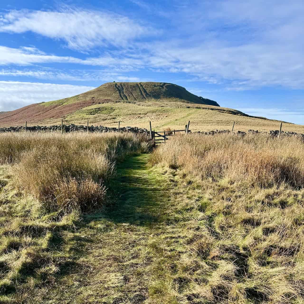 Hiking trail through golden moorland grasslands leading toward prominent hill summit under bright blue sky