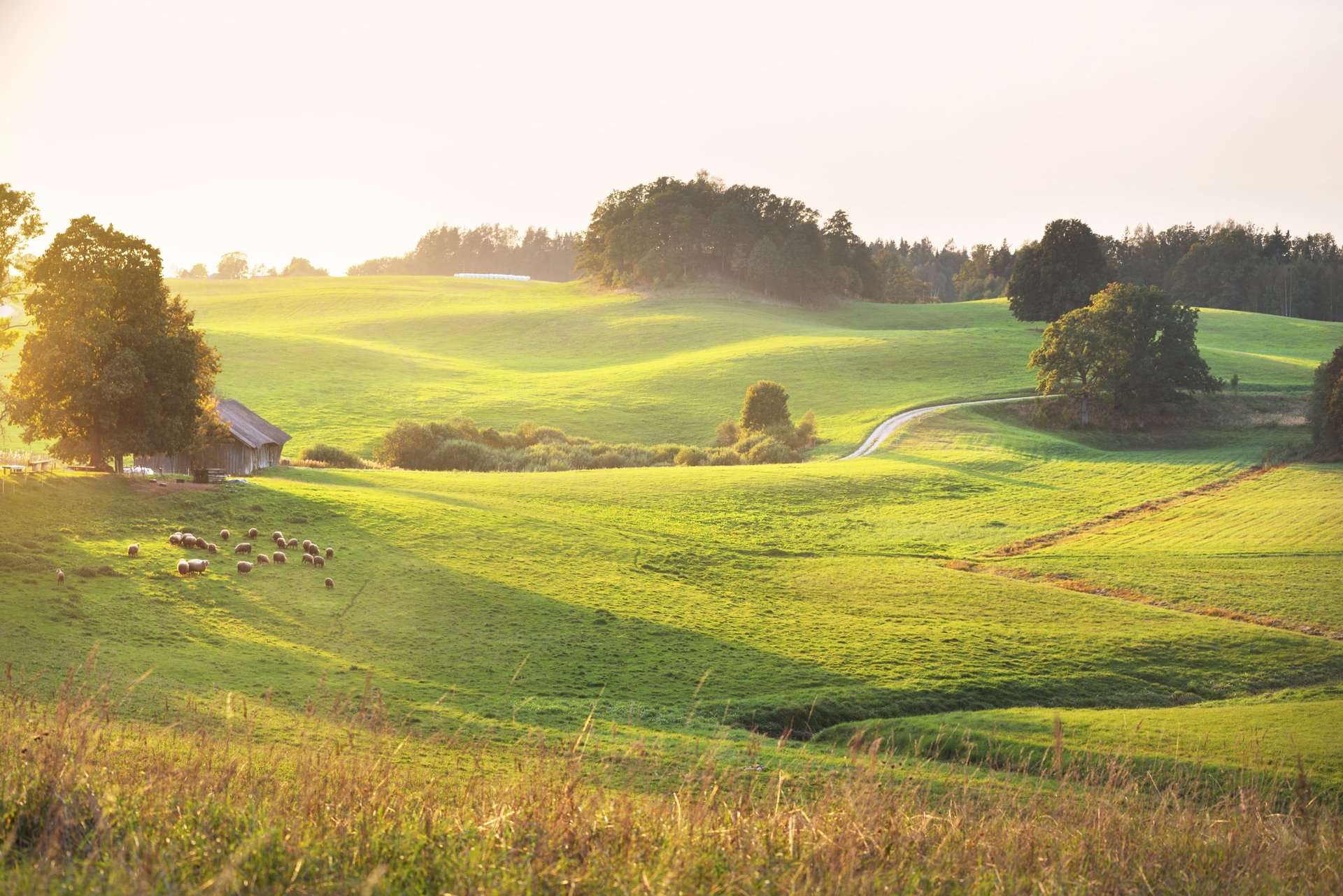Regenerating agriculture