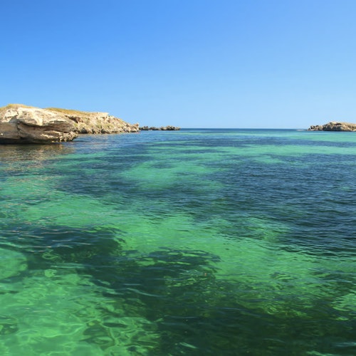 Shoalwater Islands Marine Park: Guided Snorkeling Tour + Lunch tickets in Perth