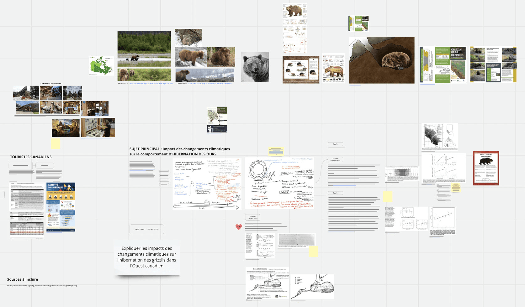 Image d'un tableau miro présentant les différentes informations sur le comportement du grizzlys. Images de références.