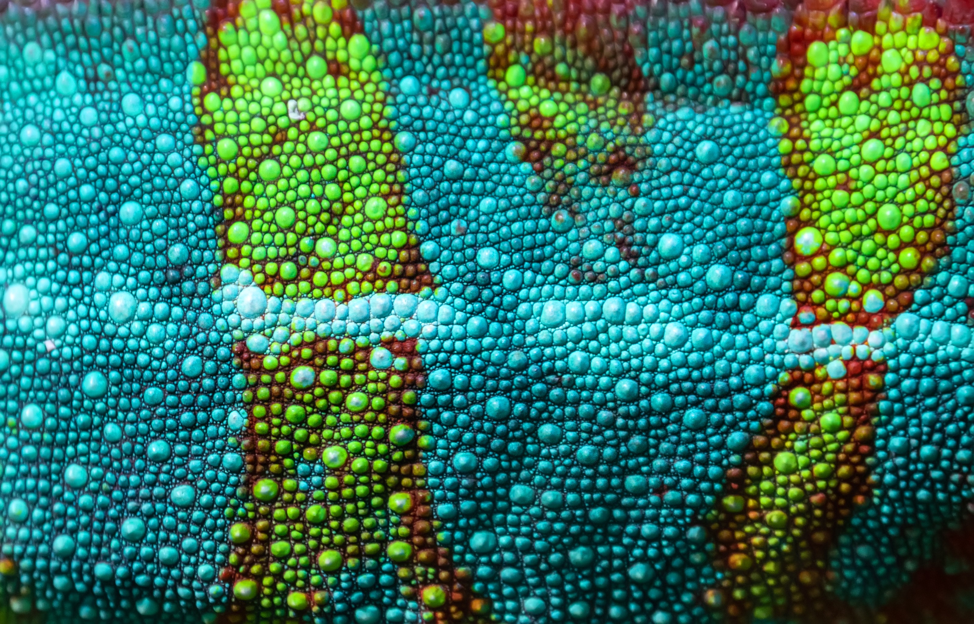 A surface of thousands of individual elements