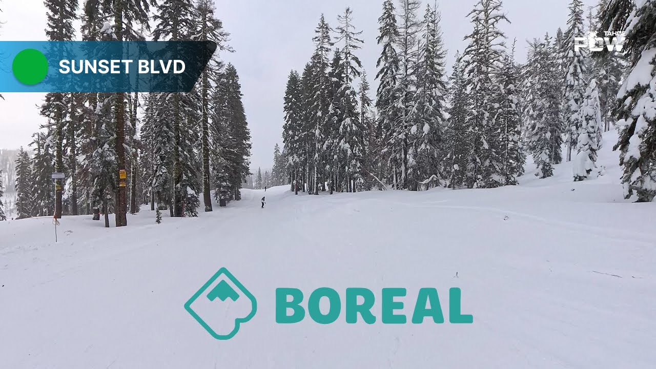 Sunset Blvd Boreal – Relaxed Beginner Run via Accelerator Quad