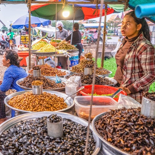 Walking through the bright bustle market, enjoy shops and arrays of vendors selling clothes, street food, bugs, etc.