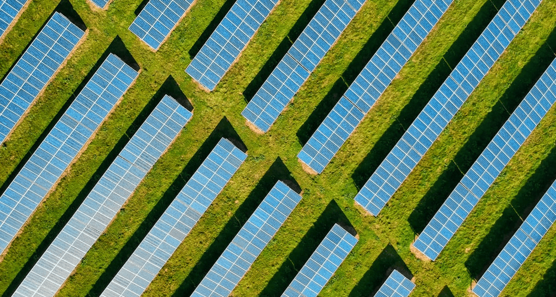 solar farm