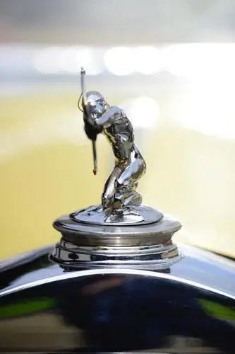 Profilbild von Prof.Dr.Dr. h.c. Thomas Winkels