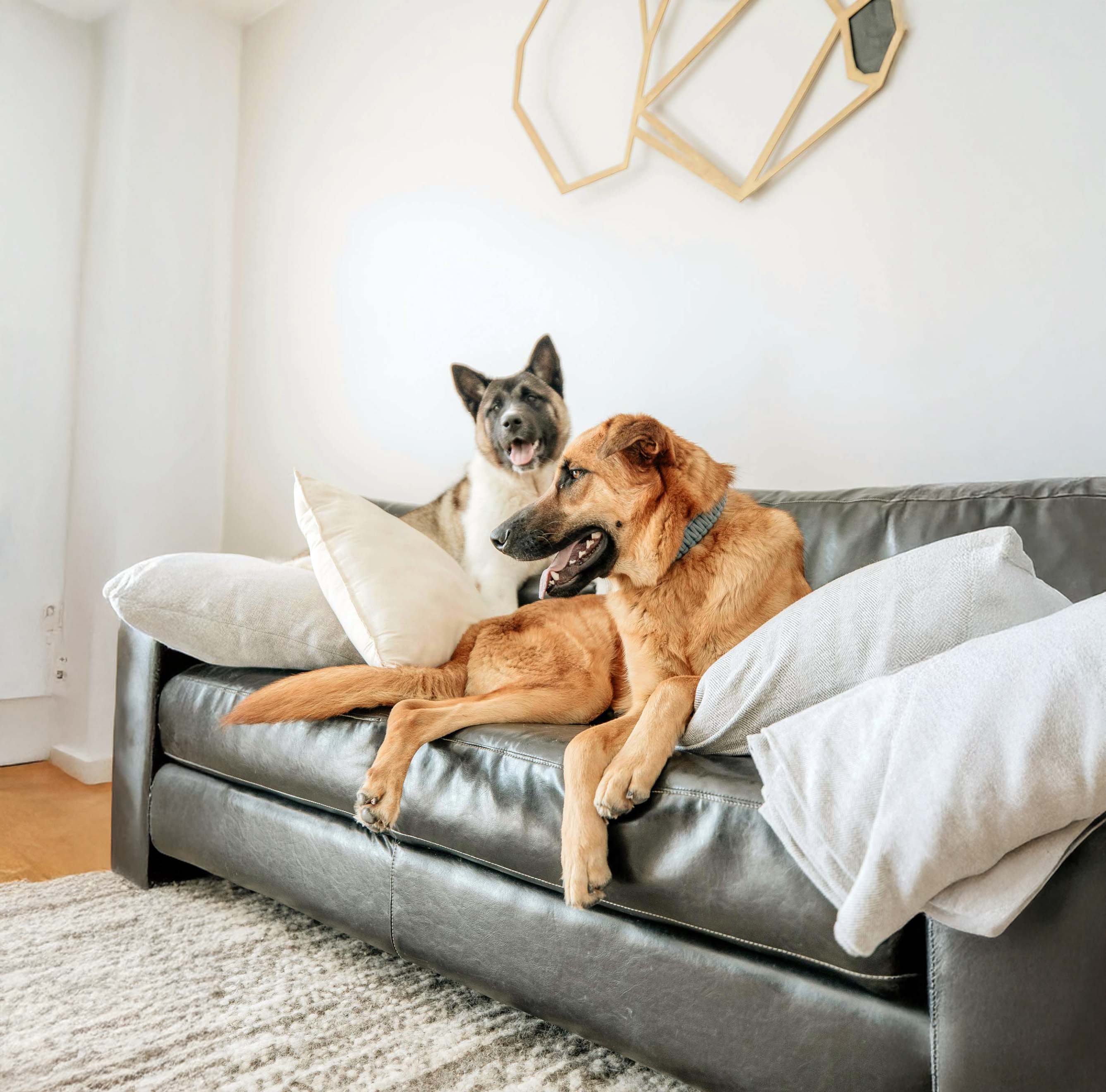 Thérapie comportementale