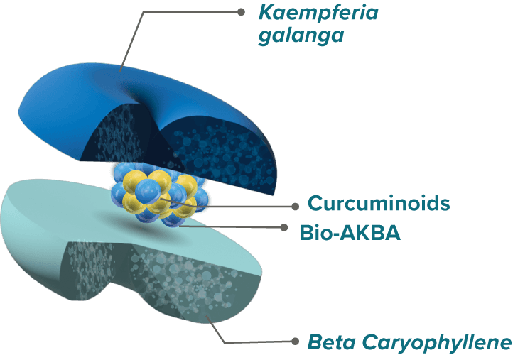 Acujoint PNS Structure