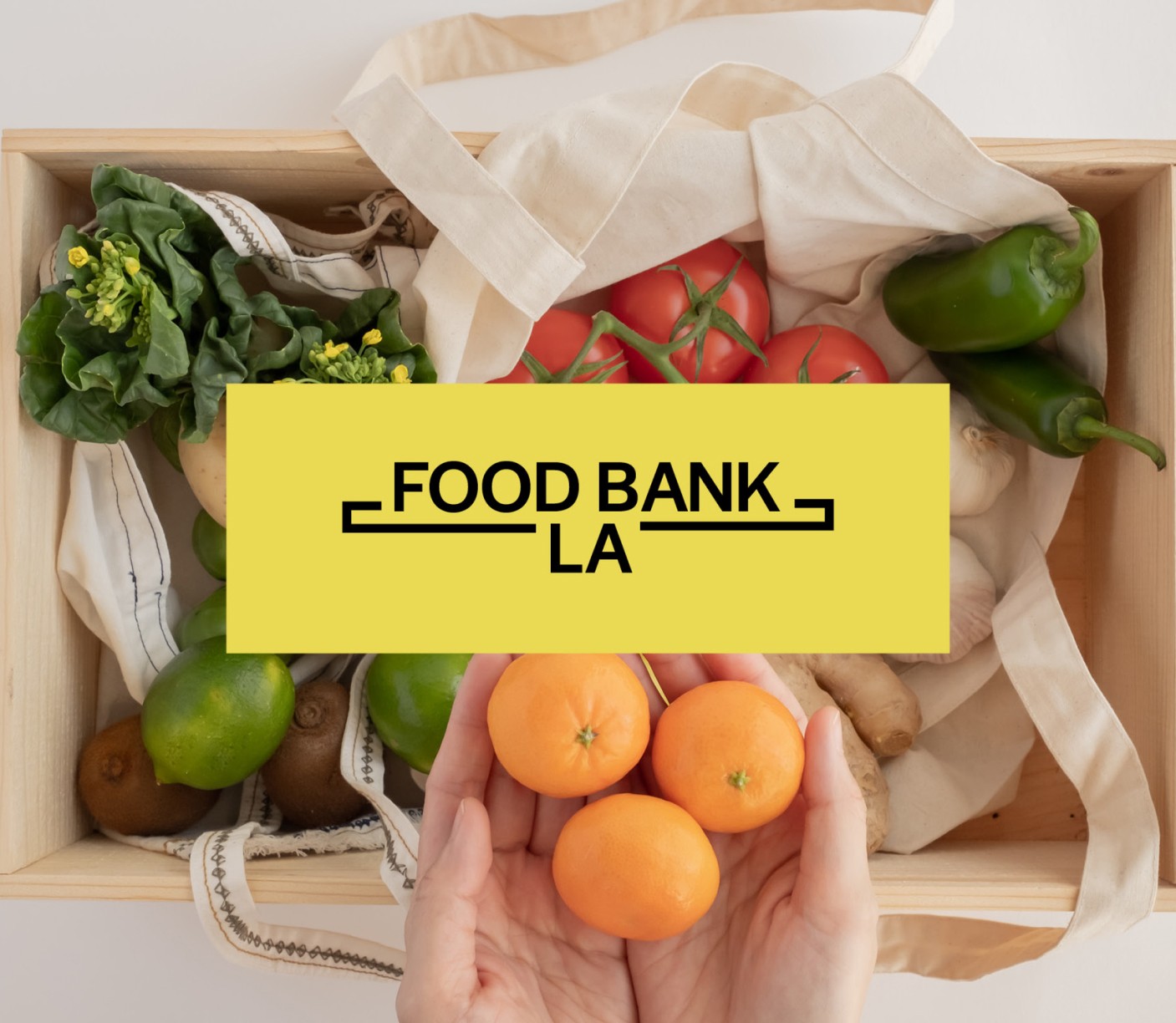 Large Project Gallery Image #1