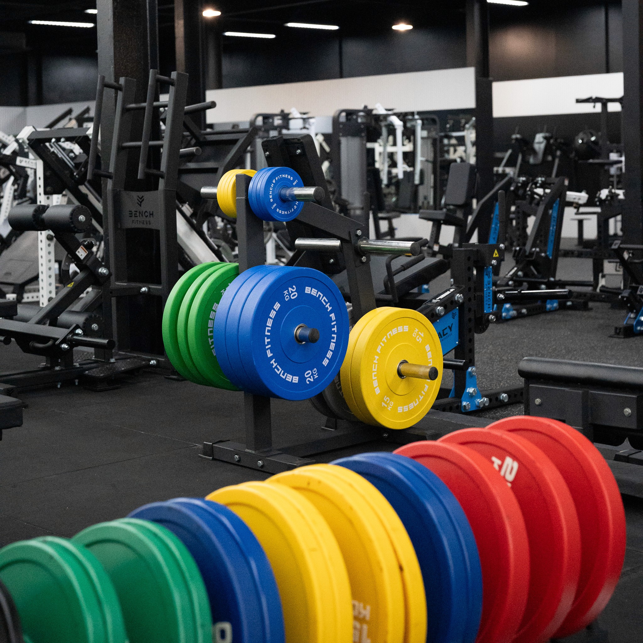 High-tech cardio machines at Legacy Muscle Universe Koh Samui, including treadmills and ellipticals in a spacious, air-conditioned gym.