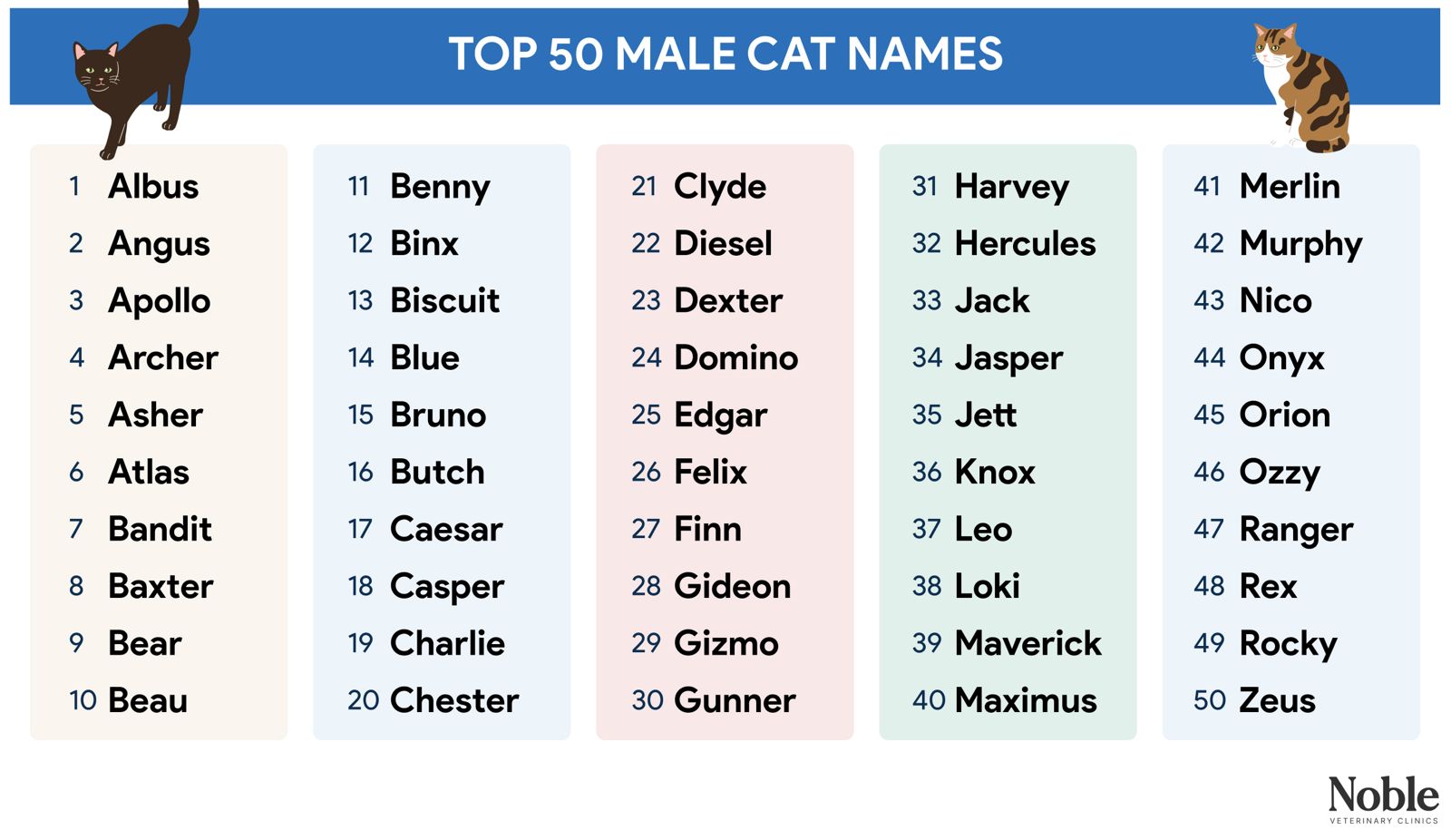 A list of 50 male cat names you can choose for your pet.