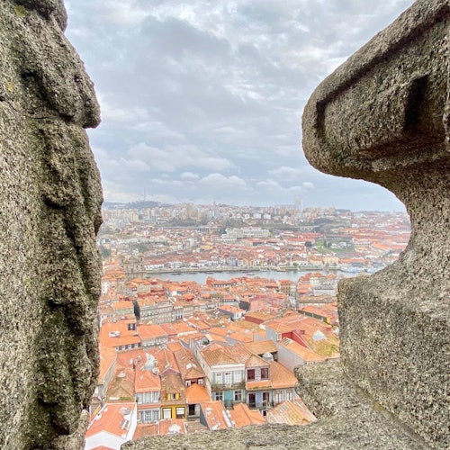 Vista desde la Torre