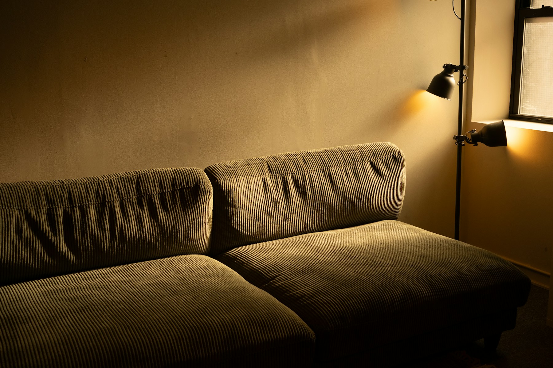 Olive sofa lit by a single wall lamp