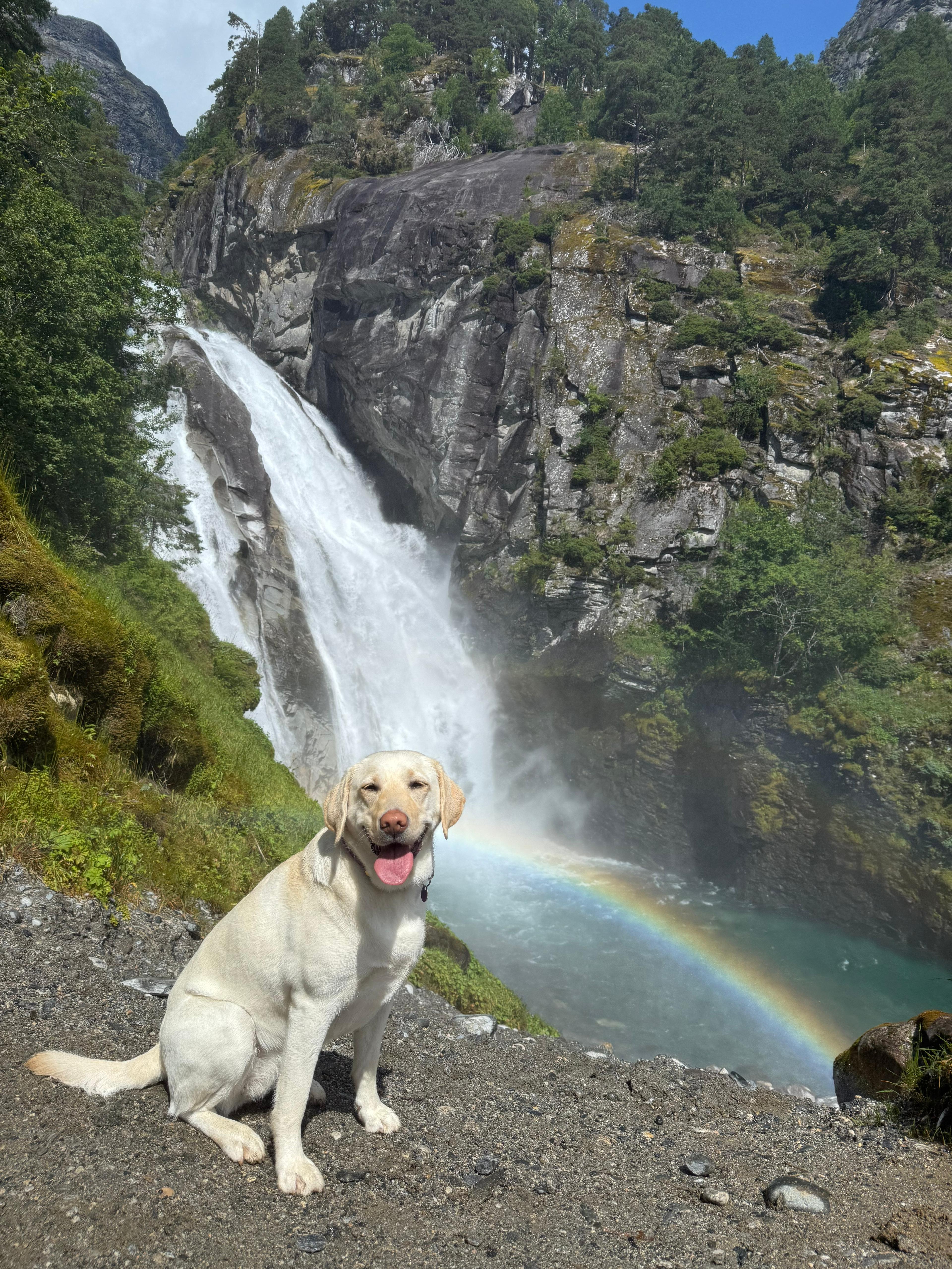 Noorwegen! ©Tessa de Ruygt