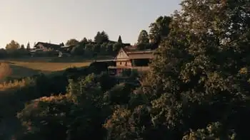Haus am bewaldeten Hang über Wiesen, im Morgenlicht aus der Luft gesehen