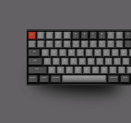 project img